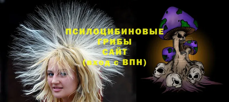 Галлюциногенные грибы MAGIC MUSHROOMS  ОМГ ОМГ как зайти  Красногорск 